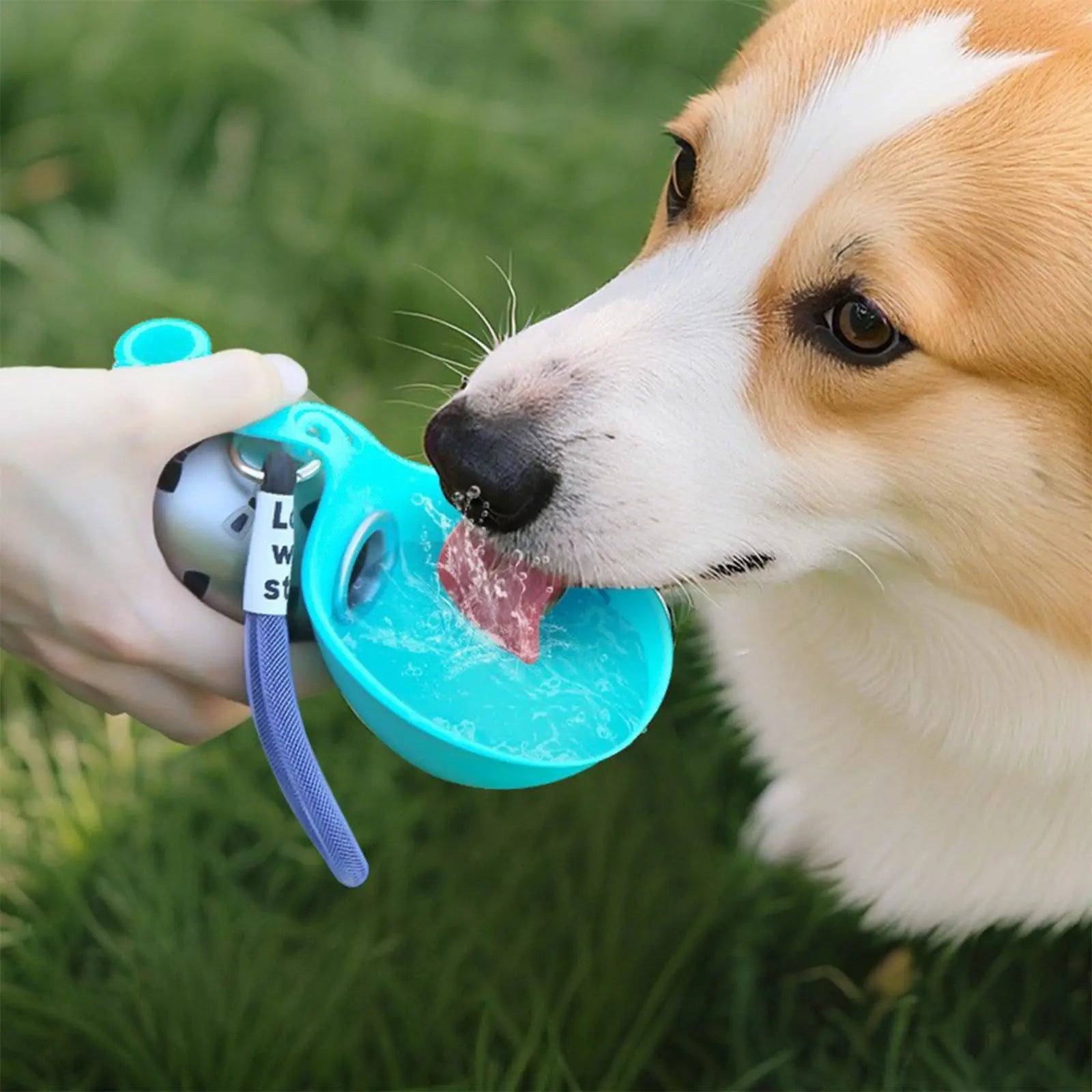 Pocket Pup Travel Water Bottle